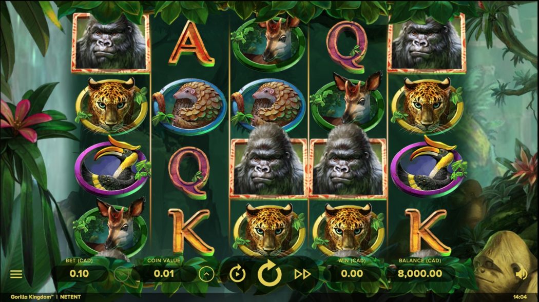 Стоит ли играть на автомате слот Gorilla Kingdom