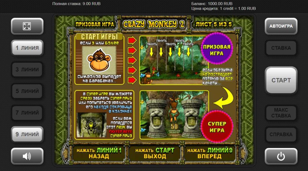 Бонусы и опции Crazy Monkey 2