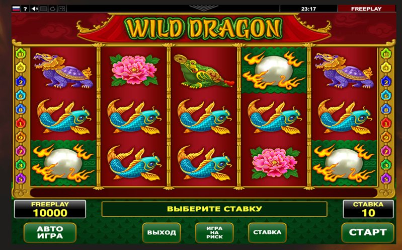 Геймплей слота Wild Dragon