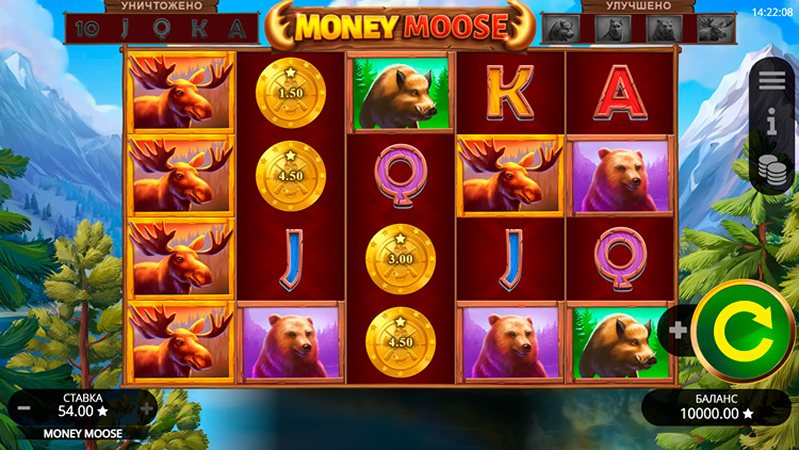 Дизайн слота Money Moose