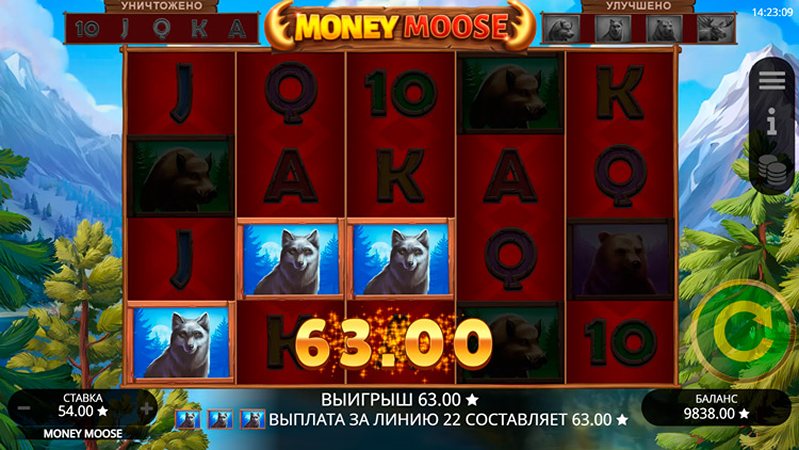 Выигрыш слота Money Moose